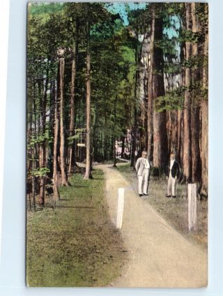Postcard Ny 1945 Lily Dale Assembly Path To Inspiration Stump Leolyn Woods H8
