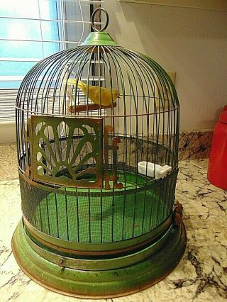 Early Hendryx Brass Wire Green Bird Cage W/ Water Feed Holder Owl Latches
