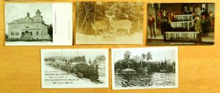 11 Postcards All from Island Falls Aroostook Co.  & Patten Penobscot Co.  Maine ME 3
