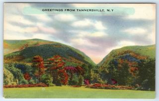 Vintage Postcard Scenic Greetings From Tannersville Catskill Mountains Ny