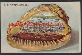 Turkey - Salut De Constantinople,  Embossed View In A Sea Shell