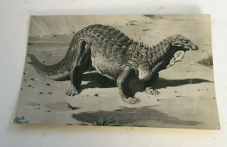 Acanthopholis Dinosaur Postcard,  British Museum Natural History,  Neave Parker