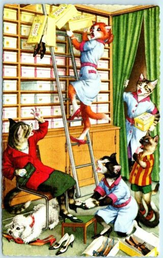 Mainzer Cats And Kittens Shoe Store,  Ladder 4743 Printed In Spain Postcard