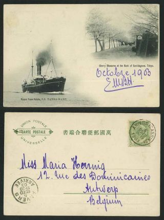 Japan 1903 Old Postcard Cherry Blossoms Sumidagawa Tokyo S.  S.  Tanba Maru Steamer
