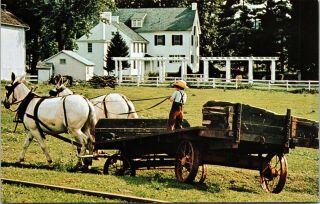 Postcard Pa Pennsylvania Lancaster Amish Boy Horse Wagon White Chimneys Gap