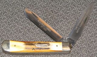 Case Xx 5254 Pocket Knife Ltd Ed 1983 King Coal Knife Club Madisonville Ky Minty