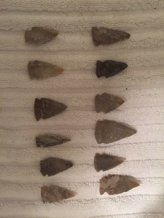 12 Authentic Arrowheads/points From Texas Set