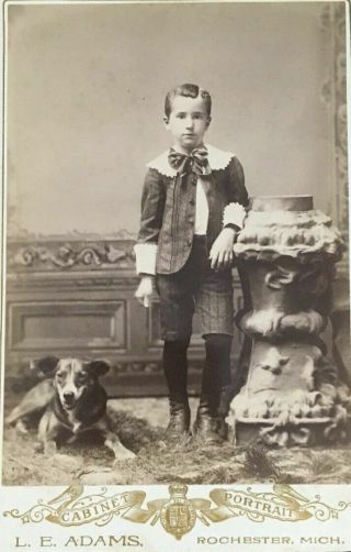 Old Cabinet Card Photo Dog And Victorian Boy Bow Ribbon Rochester Michigan