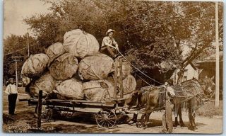 1910s Rppc Real Photo Postcard Farming Exaggeration Cabbage Horse Wagon Martin