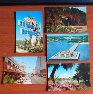 5 Postcards 1960s - St Petersburg,  Florida - Sunken Gardens,  Downtown,  Mirror Lake