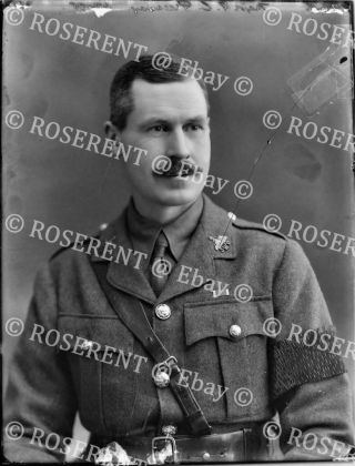 1916 South Wales Borderers - Major T C Greenway M.  C.  Glass Negative 22 By 16cm