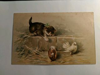 Cat Vintage Postcard.  Art.  Kitten.  Green Bow.  Doves.  Embossed.