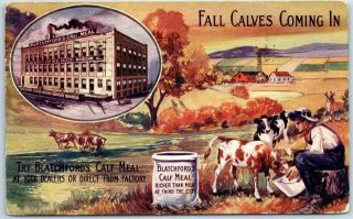 Vintage Advertising Postcard Blatchford 