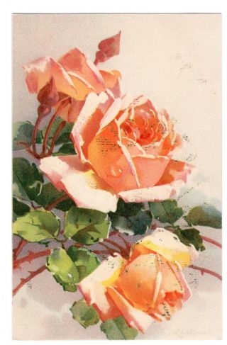 A/s C.  Klein Flowers Rose Meissner & Buch A0796