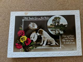 Cat - Dog Vintage Postcard.  Rppc.  Birthday.  Kitten.  Puppy.  Roses.  Pm 1919.