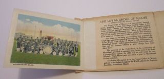 MOOSEHEART School Loyal Order of Moose Mini Souvenir Folder c 1910s - 22 views 4