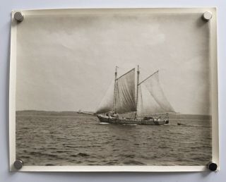 C1900 Photo Wonderful Nautical Picture Of A Ship Out At Sea (maine?)