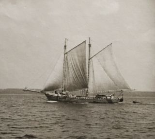 c1900 PHOTO Wonderful Nautical Picture of a Ship Out at Sea (Maine?) 2
