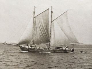 c1900 PHOTO Wonderful Nautical Picture of a Ship Out at Sea (Maine?) 3
