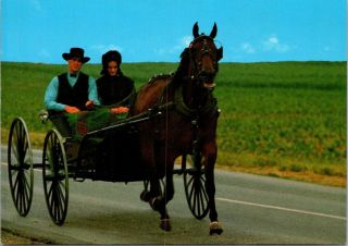 Postcard Pa Pennsylvania Lancaster County Amish Horse Buggy Man Woman Unposted