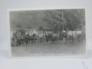 Vintage Postcard Of A Horse Drawn Wagon,  Modoc County,  California Ca Rppc