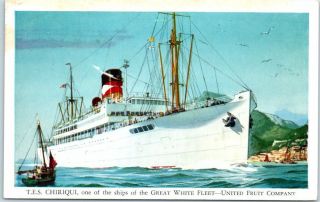 Vintage Great White Fleet Steamer Postcard T.  E.  S.  Chiriqui United Fruit Company