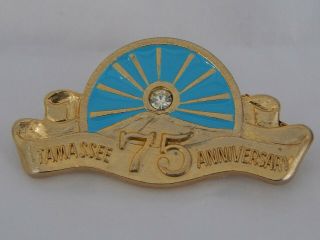 Tamassee Dar School 75th Anniv Donor Pin - Very Rare - One Of A Kind Listing
