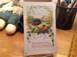 Vintage Thanksgiving Postcard Turkey W/grapes,  Pineapple,  Wreath Of Wheat