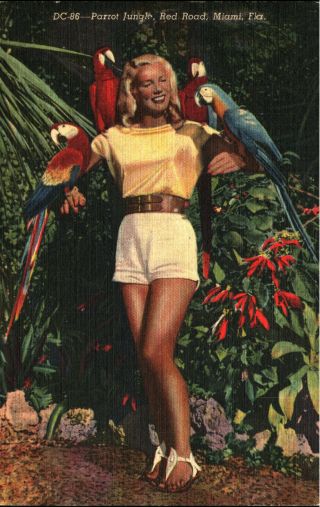Vintage Linen Postcard Woman With Parrots Jungle Miami Florida 1940s - 1950s