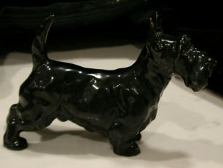 Royal Doulton China Scottish Terrier Champion Albourne Arthur Hn 1016 Figurine