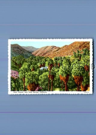 California Postcard V,  5684 Palm Canyon Near Palm Springs