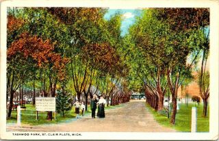 St Clair Flats Michigan Tashmoo Park White Star Line Steamers Sign 1915 Postcard