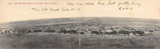 Two Dot,  Mt,  Double Pc,  2500 Cattle Grazing On The Range Overview 1907