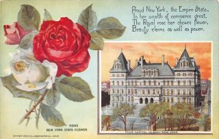 Lps98 Albany York State Capitol Building Rose State Flower Postcard