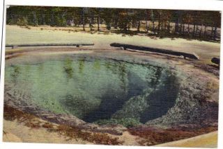 Vintage Postcard Morning Glory Pool Yellowstone Park Union Pacific Rr Card P6221