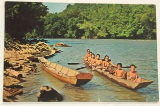 Upp96 Sea Dayak Maidens Rowing A Boat