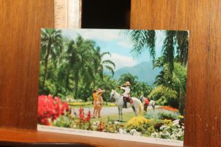 Vintage Postcard 1960 