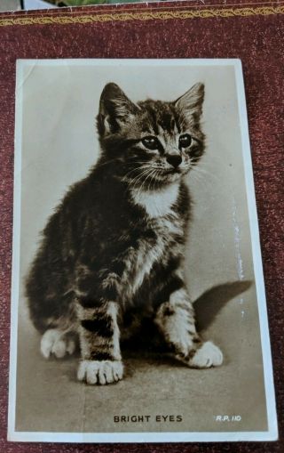 Cat Vintage Postcard.  Rppc.  B/w Of Tabby Kitten.  British.  Pm 1959.