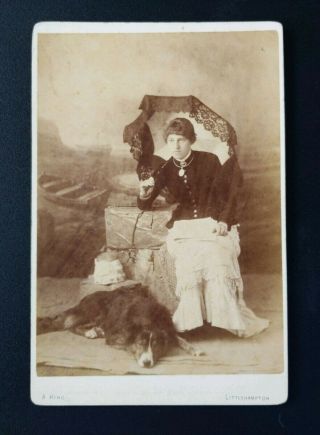 Antique Cdv Photo Lady With Parasol Umbrella & Dog A.  King Little Hampton