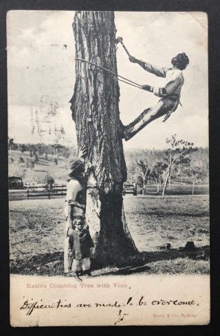 Dated 1905 Kerry Australian Aboriginal Postcard