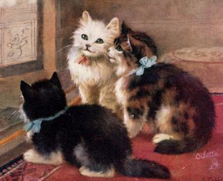 Vintage Raphael Tuck 3 Kittens Postcard Oilette Home Sweet Home Cats Fireplace