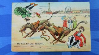 Blackpool Comic Postcard 1906 Beach Donkey Horse Racing Theme The Race For Life