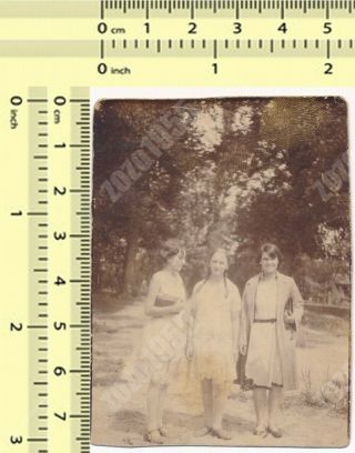 Three Females In Park,  Women Ladies Girls Old Photo Snapshot