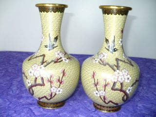 Antique Tan Cloisonne Enamled Brass 9 Inch Vase Set - L@@k