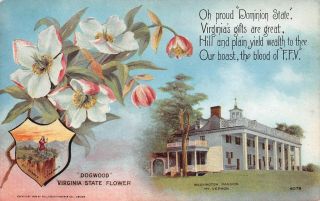 Lps04 Mt.  Vernon Virginia Washington Mansion State Flower State Seal Postcard