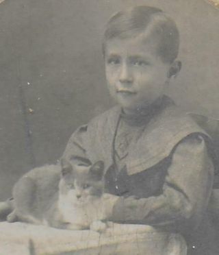 Cute Child Poses With PET CAT / KITTEN Old Cabinet Photo 2