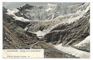 Grindelwald,  Baregg & Viescherhorner,  Switzerland Early 20th Cent Postcard 792k