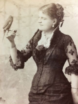 Antique Sarony Cabinet Card Photo Opera Singer W/ Bird Madam Sofia Scalchi Sings