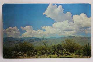 Vintage Giant Post Card By Ray Manley Catalina Mountains Tucson Arizona 1960s