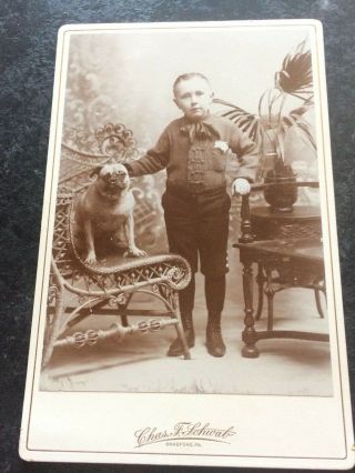 Pug Dog Cabinet Card With Boy Age 7 1/2 Dated 1896